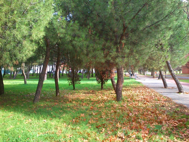 Imagen general del Residencia Universitaria Giner De Los Ríos - Hostel. Foto 2