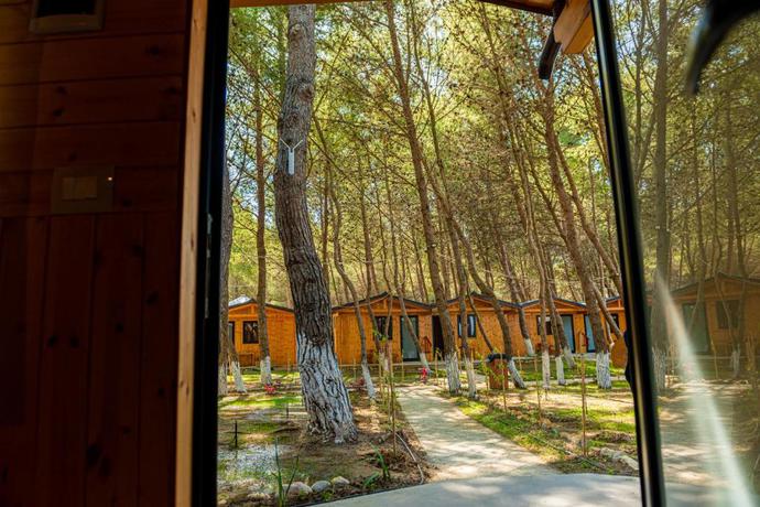 Imagen general del Resort Ecuador. Foto 12