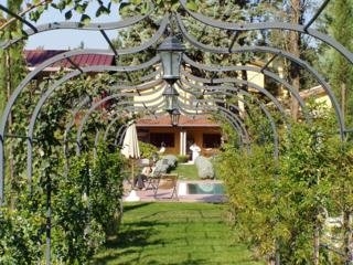 Imagen general del Resort Garden Resort and Spa San Crispino. Foto 3