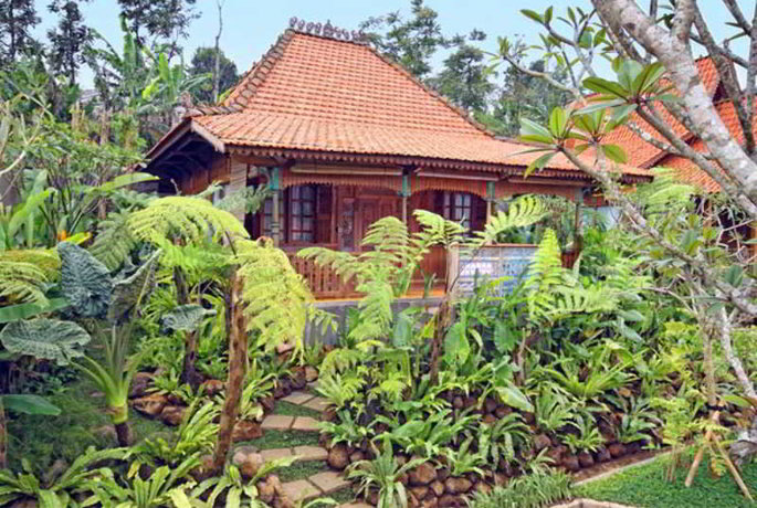 Imagen general del Resort Jadul Village Resort and Spa. Foto 3