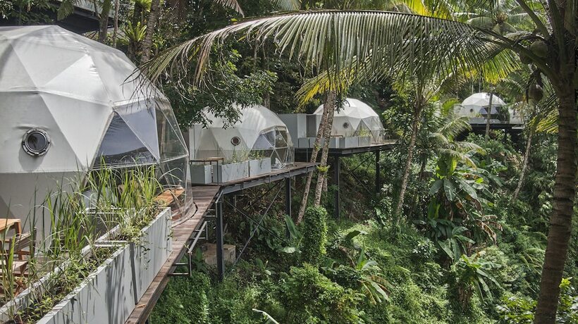 Imagen de la habitación del Resort Lintang Luku Tent. Foto 17