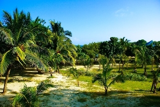 Imagen general del Resort Rosario De Mar Ecohotel. Foto 6