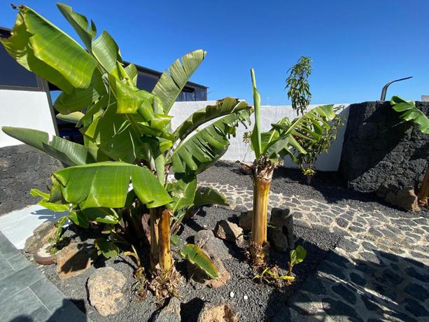 Imagen general del Resort Rural Finca Marisa. Foto 15