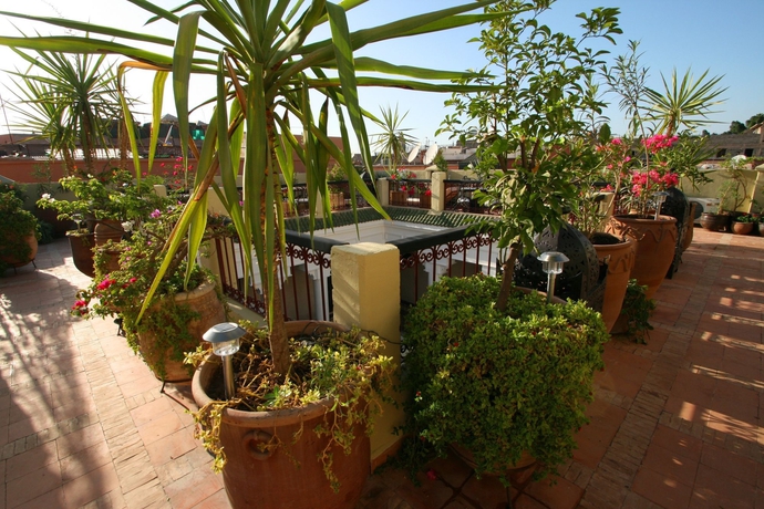 Imagen de los exteriores del Riad Africa, Marrakech. Foto 15