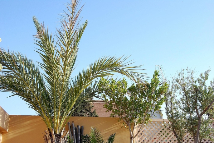 Imagen de los exteriores del Riad Akka. Foto 9