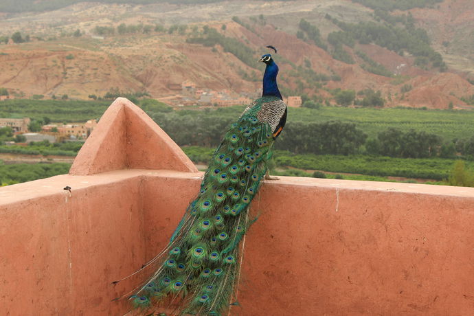 Imagen general del Riad Aslda. Foto 2