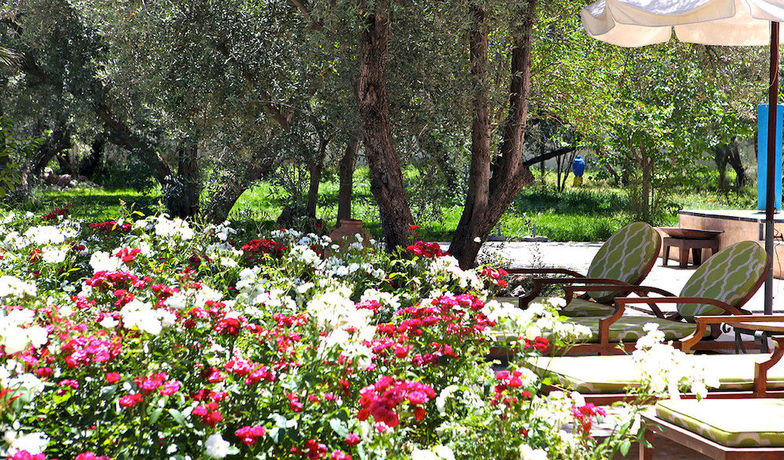 Imagen de la piscina del Riad Cl&eacute; De Sol. Foto 12