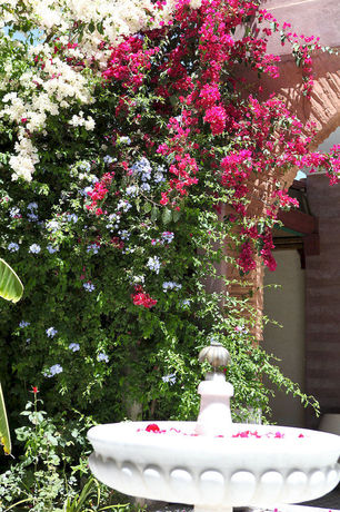 Imagen de los interiores del Riad Cl&eacute; De Sol. Foto 9