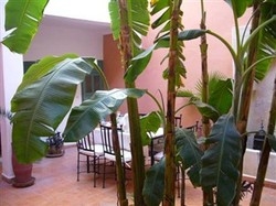 Imagen general del Riad Dar Mchicha. Foto 1