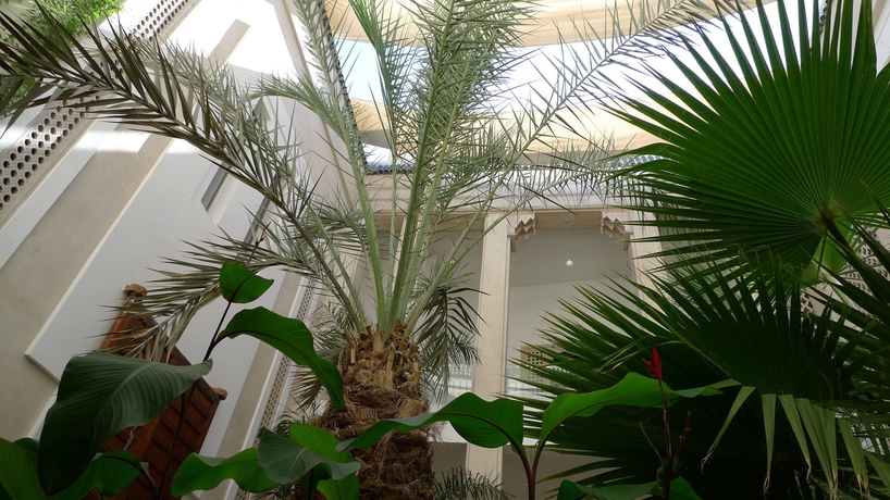 Imagen de los exteriores del Riad Due. Foto 10