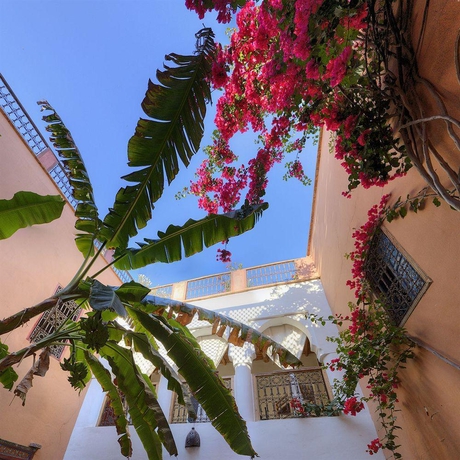 Imagen general del Riad Ineslisa. Foto 2