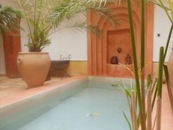 Imagen de la piscina del Riad Jade Or. Foto 7