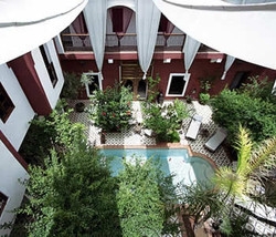 Imagen de la piscina del Riad Jardin Grenadine. Foto 7