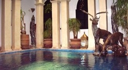 Imagen de la piscina del Riad La&acirc;rouss. Foto 12