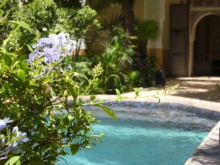 Imagen de la piscina del Riad Laila. Foto 7