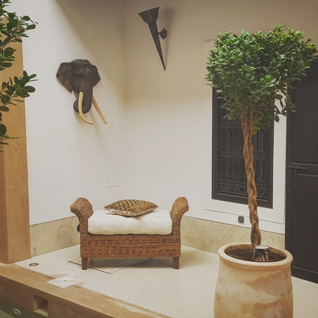 Imagen de la habitación del Riad Les 5 Soeurs. Foto 3