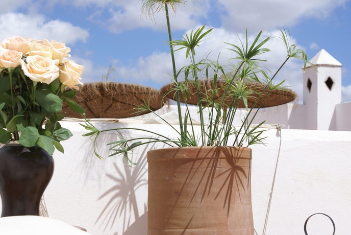 Imagen de los exteriores del Riad Les Orangers D'Alilia. Foto 10