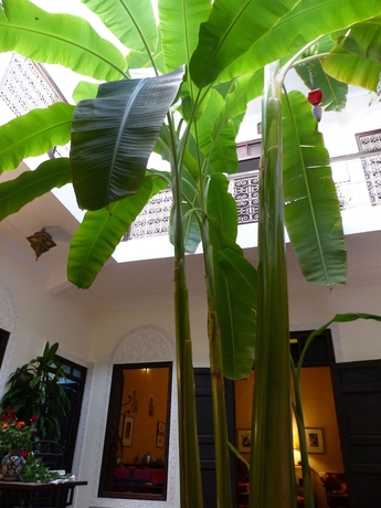 Imagen de los interiores del Riad Marhbabikoum. Foto 17