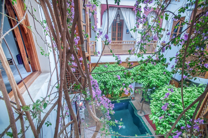 Imagen de la piscina del Riad Sadaka. Foto 18
