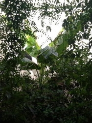 Imagen de los exteriores del Riad Tibibt. Foto 4