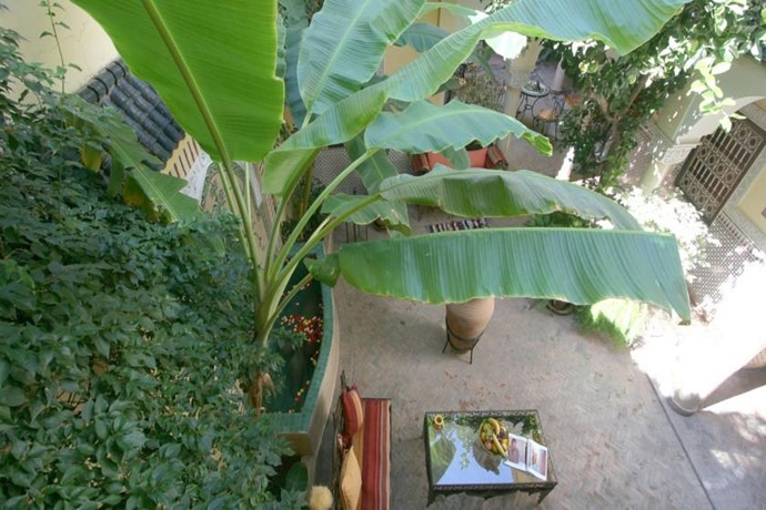 Imagen general del Riad Villa Harmonie. Foto 4