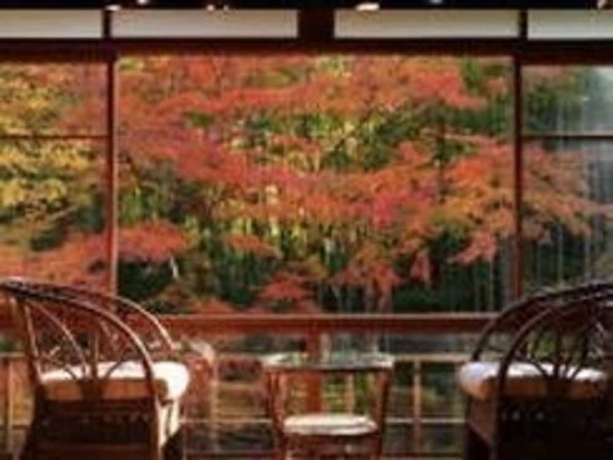 Imagen de la habitación del Ryokan Arai, Izu. Foto 17