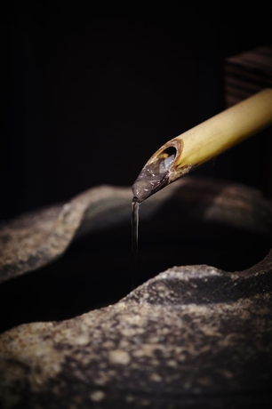 Imagen de los interiores del Ryokan Asakusa Shigetsu. Foto 17