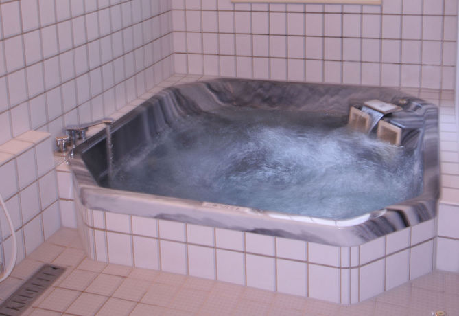 Imagen de la habitación del Ryokan Bansuitei Ikoiso. Foto 9