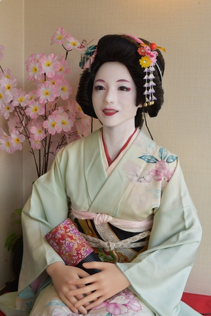 Imagen de los interiores del Ryokan Capsule Kyoto. Foto 7