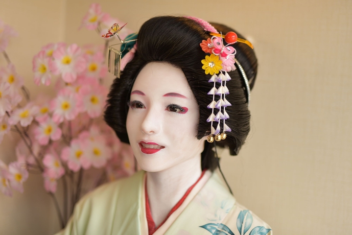 Imagen de los interiores del Ryokan Capsule Kyoto. Foto 8