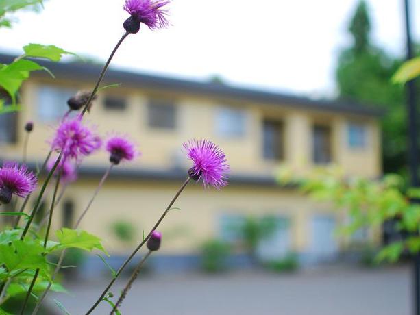 Imagen general del Ryokan Chuson-ji Hiraizumi Spa Shizukatei. Foto 3