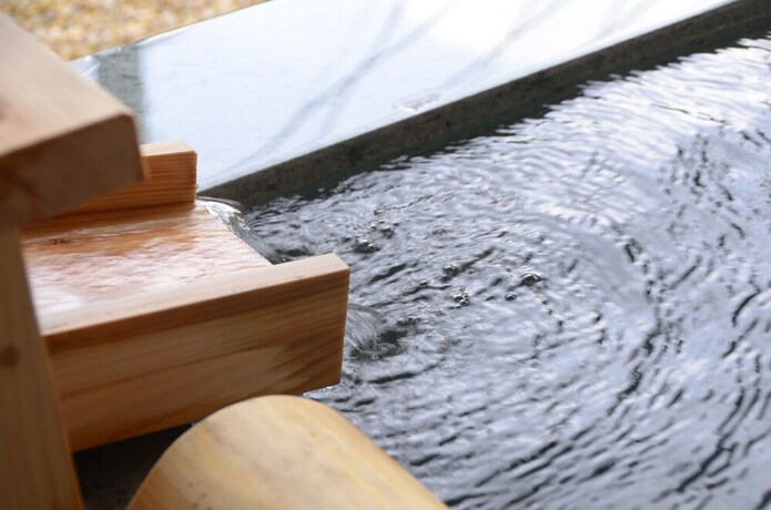 Imagen general del Ryokan Hakone Kowakien Mikawaya. Foto 7