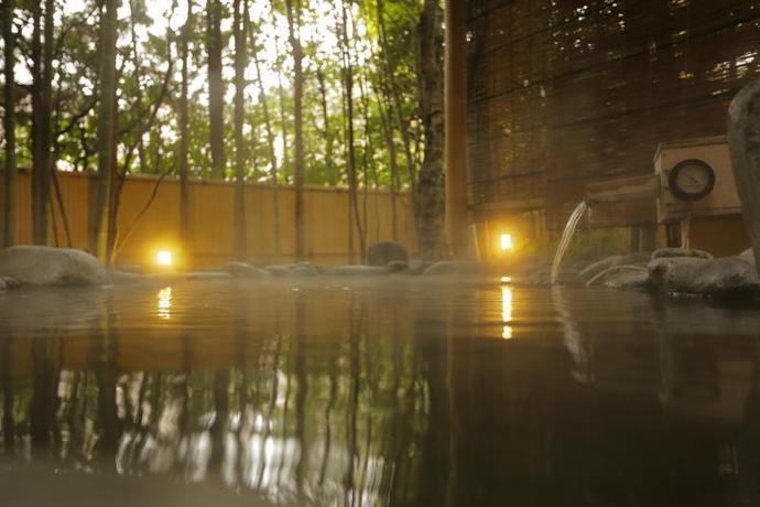 Imagen general del Ryokan Hakone Kowakudani Onsen Mizunoto. Foto 4