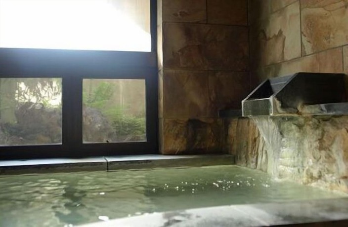 Imagen general del Ryokan Hakuba Onsen Shirouma-so. Foto 2