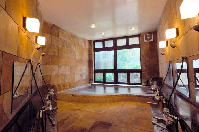 Imagen general del Ryokan Hakuba Onsen Shirouma-so. Foto 13