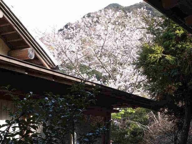 Imagen de la habitación del Ryokan Hanareya Ishidaya. Foto 5