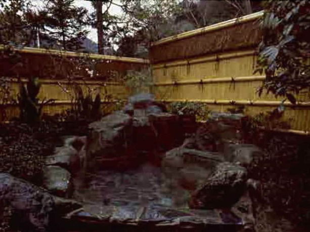 Imagen de la habitación del Ryokan Hanareya Ishidaya. Foto 18