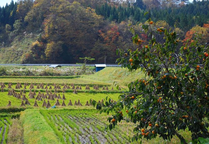 Imagen de la habitación del Ryokan Hiraizumi Hot Spring Soba'an Shizukatei. Foto 2