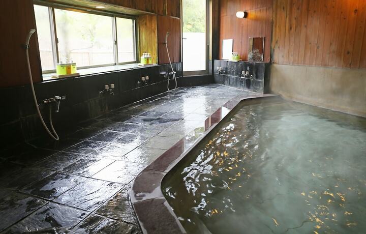 Imagen general del Ryokan Hisaeya. Foto 4