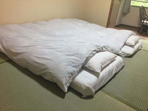 Imagen general del Ryokan Hisaeya. Foto 5