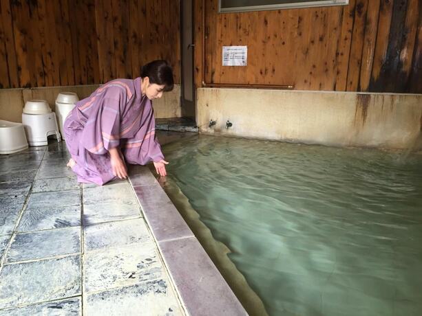 Imagen general del Ryokan Hisaeya. Foto 14