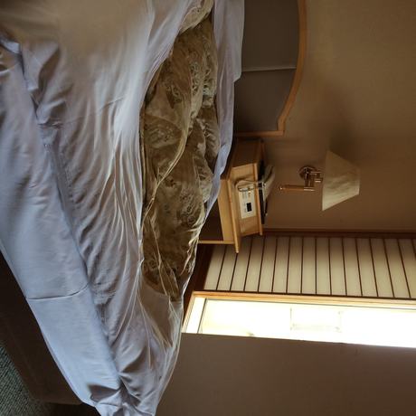 Imagen de la habitación del Ryokan Hotel Aburaya-ryokan. Foto 10