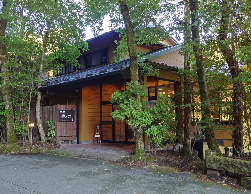 Imagen general del Ryokan Ichinoi. Foto 7