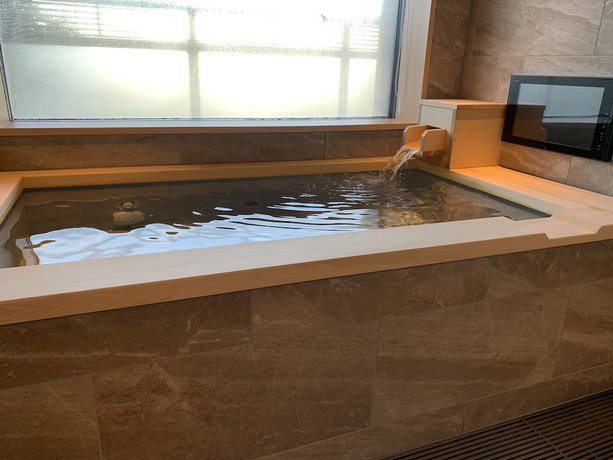 Imagen de la habitación del Ryokan Ikeda Onsen Tachikawa. Foto 13