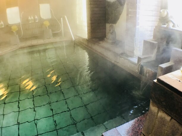 Imagen general del Ryokan Kamesei. Foto 1