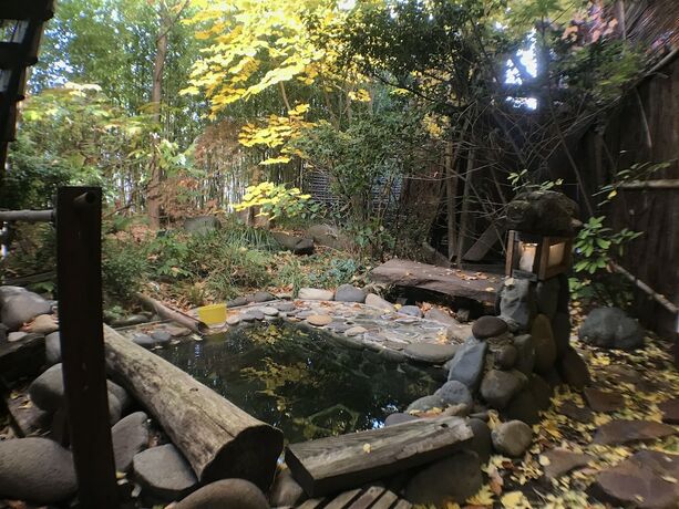 Imagen general del Ryokan Kamesei. Foto 2