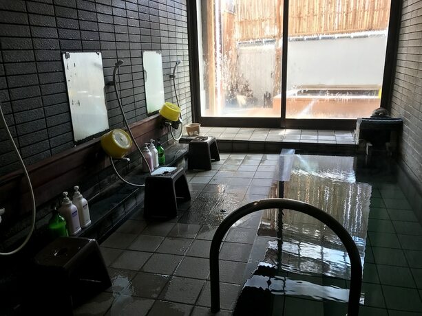Imagen general del Ryokan Kamesei. Foto 5
