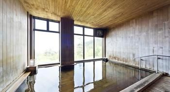 Imagen de la piscina del Ryokan Kamihoroso. Foto 15