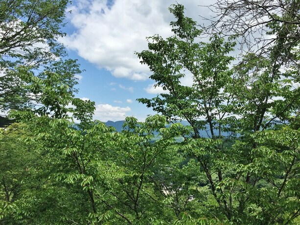 Imagen del bar/restaurante del Ryokan Kato - Yoshino. Foto 24