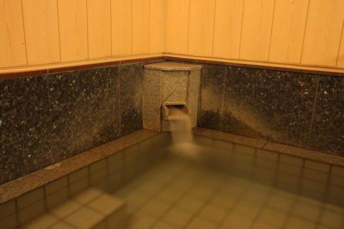 Imagen de la piscina del Ryokan Kawahiro. Foto 32